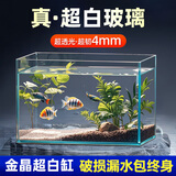 坤宁王金晶超白玻璃鱼缸桌面造景小鱼缸家用客厅裸缸一体缸25*16*18cm
