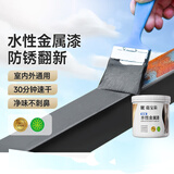 嘉宝莉（CARPOLY）水性金属漆防腐防锈漆改色漆铁门翻新漆栏杆不锈钢石膏板油漆涂料 银黑色【临期优惠,不影响使用】 1KG刷4-5平米(送工具)