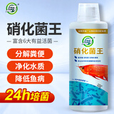 坤宁王 硝化细菌鱼缸用除氯净水片活性消化细菌水质清澈稳定剂养鱼用品