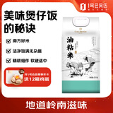 1号会员店广东油粘米5kg 长粒香米 真空包装 晚稻籼米当季新米