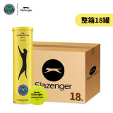 史莱辛格（Slazenger）4粒装网球 铁罐温网训练比赛用球整箱18筒 新包装STB340973 