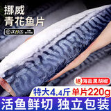 尚致挪威青花鱼鲜切青花鱼片深海鱼青占鱼新鲜冷冻青鱼鲭鱼生鲜鱼类 2200g【190-220g*10片】特大片