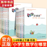 数学在哪里1-6年级上册下册修订版 小学数学阅读全彩印刷 思维训练趣味数学故事儿童益智力开发课外阅读训练辅导书 数学在哪里四年级下册