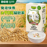 碧欧奇有机胚芽米试用80g 大米长丽香婴幼儿营养粥米粥宝宝辅食儿童主食