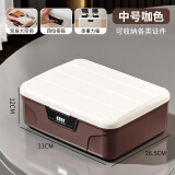 橱明星带锁密码箱隐私文件家用密码保险箱小型大容量贵重物品保管收纳盒 中号16L白咖【四位密码+带隔层】