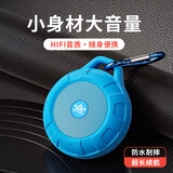 朗琴T350蓝牙音箱防水便携式重低音炮迷你小型户外运动骑行小音响收音播放器老年人收音机超长续航 瀚蓝色 官方标配【数据线+音频线+挂勾】
