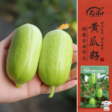 寿禾 小黄瓜种子苗迷你水果青瓜无刺蔬菜种籽 卓嫩28玉女黄瓜种子25粒