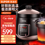 苏泊尔（SUPOR）电炖锅电炖盅煲汤锅炖汤锅煮粥锅精控快速炽陶电炖锅智能全自动家用慢炖煲汤文火煨汤陶罐瓦罐汤 新中华炽陶老火汤6升DG60YC13 6L
