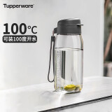 特百惠（Tupperware）乐趣550ML塑料杯夏季男女学生便携运动水杯子大容量 都市灰