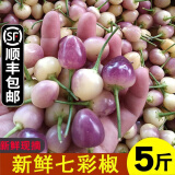 辰实【顺丰速发】七彩椒现摘 广西新鲜五彩椒 灯笼椒小辣椒 5斤 【新鲜七彩椒 现摘现发】推荐