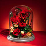 JoyFlower永生花玫瑰花玻璃罩礼盒生日礼物结婚纪念日送女生朋友老婆高级感