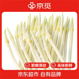 京觅湖北洪湖藕带 300g 尝鲜装 洗净不带泥 源头直发 包邮