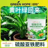 绿盼 硫酸亚铁花肥料颗粒喜酸性植物复合型通用茶兰花速溶叶面肥400g