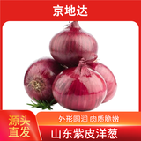 京地达山东新鲜紫洋葱净重3斤 单果200g+ 洋葱头 红皮圆葱 源头直发包邮