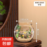 高清鱼缸 生态缸桌面溪流缸迷你金鱼缸小型水族箱养鱼龟缸PET 中号鱼缸【超清8K高透/摔不碎/久用不糊】