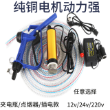 泰鹏抽油泵柴油220伏电动小型油泵电瓶车载吸油泵抽水泵抽油神器 12V金泵5米电瓶夹+5米钢丝管