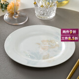 煜乾盘子碟子菜盘景德镇陶瓷骨碟创意圆形盘餐盘家用小盘子餐具骨瓷 平盘 1个 7英寸
