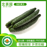北菜园有机黄瓜300g刺黄瓜【进店多样加购】有机新鲜蔬菜