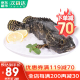 哆鲜生 海捕石斑鱼 野外生长鲜活冷冻东星斑龙趸斑三去龙胆斑鱼类生鲜 三去珍珠斑 750-900克