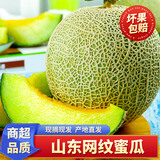 泽华果品山东网纹蜜瓜 玫珑冰淇淋蜜瓜当季新鲜水果整箱 网纹蜜瓜净重4.5-5斤2-3个
