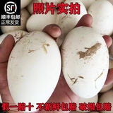 顺丰包邮新鲜正宗农家散养鹅蛋益孕妇小孩吃土鹅蛋超大特大鹅蛋 12枚【3斤以上】真鹅蛋假一赔百 【单枚】125克-140克