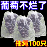 自带抽绳】葡萄水果套袋防虫防鸟防雨水果网袋无花果透气防寒布 果农推荐：通用款【100个】高密度/反复使用 葡萄瓜果袋【防虫防鸟+透光透气】