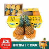 徐闻凤梨金钻十七号 甘蔗凤梨 芒果凤梨 新鲜水果菠萝特产礼箱装 金钻大果10斤装（3-4个）