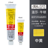 温莎牛顿油画颜料画家专用油画颜料55色初学者大容量油彩颜料管支单支-1 中黄 170ml