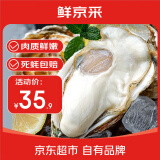 鲜京采【活鲜】生蚝4斤 2XL 14-17只装 源头直发  海鲜水产 露营烧烤