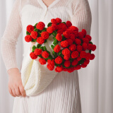 彼遇520情人节礼物送女友成品手工针织玫瑰花束毯子生日礼物女直径1米