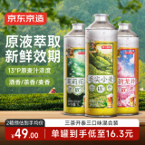京东京造桃韵龙井毛尖小麦茉莉花茶精酿啤酒春日出游1L*3整箱三种口味