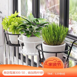 小媳妇花架阳台栏杆花架子家用装饰简约铁艺创意护栏花盆架子多肉绿萝架 黑色加长版18cm-一只装