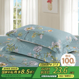 艾薇枕头套枕套一对纯棉家用全棉单人枕套枕芯套 青馨花园 48*74cm