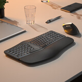 B.O.W人体工程学三模无线蓝牙键盘垂直鼠标套装软垫手托可充电笔记本电脑外设台式静音办公游戏打字键鼠 人体工学键盘充电鼠标套装丨沉稳黑丨背光款