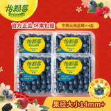 怡颗莓（Driscoll's Only the Finest Berries）云南蓝莓新鲜(JD/顺丰多地次日达)孕妇 宝宝辅食怡颗莓蓝莓 4盒装500g单果14mm+ 云南产地