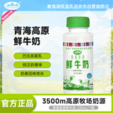 青海湖 青海高原鲜牛奶230ml 低温奶 巴氏杀菌 100%生牛乳