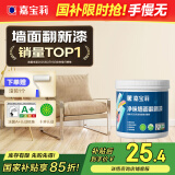 嘉宝莉（CARPOLY）补墙漆修补墙面翻新漆内墙去污遮盖净味内墙乳胶漆番木白1kg