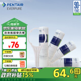 爱惠浦（Everpure） PP棉滤芯4支10吋/5微米加扳手 净水机通用滤芯