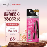 花王（KAO）Blaue染发笔遮盖白染发棒速干补染棒临时遮盖一刷即染 自然棕色
