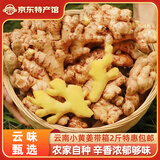 滇鲜生云南小黄姜新鲜生姜农家自种新姜新鲜蔬菜调味料原产地带泥发货 带箱小黄姜 2斤