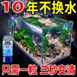 鱼缸长效净水片净水剂除臭去腥大苏打自来水养鱼水困水硝化细菌 25粒 1瓶 【美国诺贝尔】溶菌酶净化胶囊