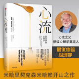 心流 最优体验心理学 心流理论之父 米哈里契克森米哈赖著 罗振宇推荐 中信出版社