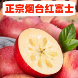 大口七八正宗山东烟台冰糖心苹果新鲜水果整箱包邮应10斤季丑苹果红富士 9斤装 大果丨80-85mm