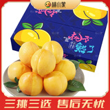 桃小蒙沂蒙山黄桃 新鲜水果蒙阴黄金油桃 生鲜当季鲜果桃子 4.5斤