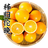 秭橙贡【果园直达】湖北秭归伦晚脐橙整箱9斤新鲜春橙现摘手剥甜橙子 伦晚中果65-70mm左右果径 带箱9-10斤（韵达）