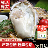 龙味福【活鲜】生蚝 乳山牡蛎 新鲜海蛎子生鲜贝类 【99%好评】5XL带箱10斤