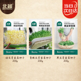 北蔬 水培蔬菜种子苗无土生长快绿豆青豌豆黑豆 3种芽苗菜种子各200g