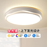 ARROW箭牌照明LED阳台面包吸顶灯简约过道玄关灯走廊过道灯阳台灯广东 荷花-48瓦圆形智控48cm适15平内