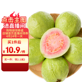 京鲜生 红心芭乐 番石榴 2粒装  单果150g起  生鲜水果