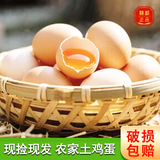 天厚玄鸟正宗散养农家土鸡蛋谷物土鸡蛋50±5g山林散养新鲜鸡蛋土鸡蛋 大号散养土鸡蛋*10枚【尝鲜】